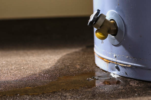 Best Ceiling water damage repair  in West Odessa, TX