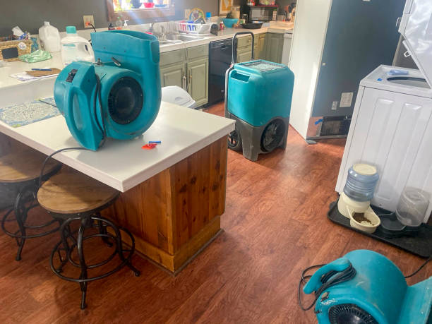 Carpet water damage restoration in West Odessa, TX