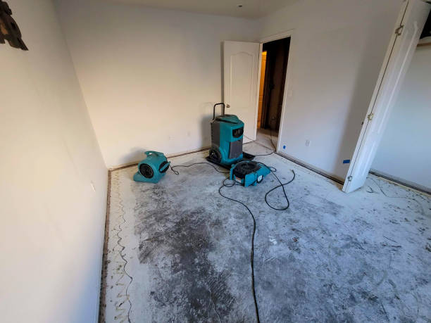 Best Mold removal after water damage  in West Odessa, TX