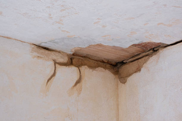 Best Residential water damage restoration  in West Odessa, TX