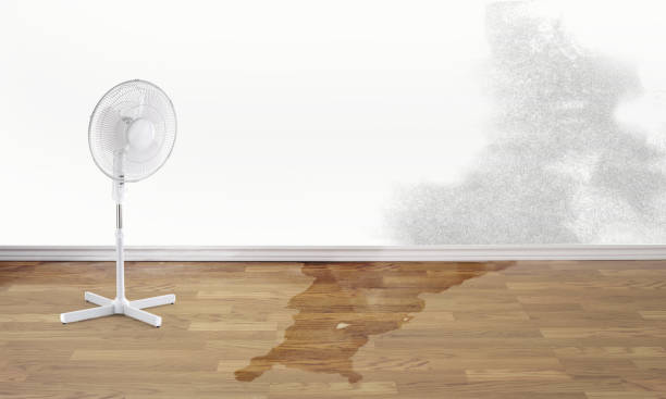 Best Flood damage cleanup  in West Odessa, TX