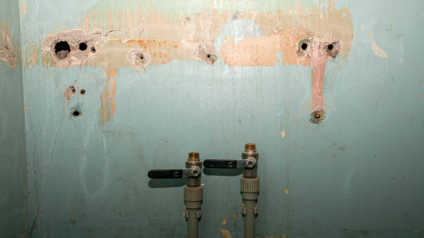 Best Basement water damage restoration  in West Odessa, TX