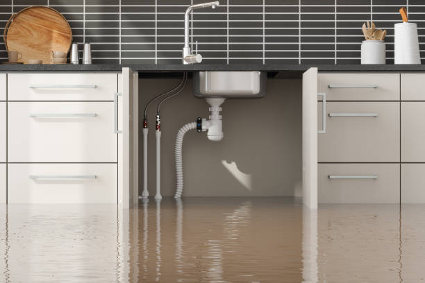 Best 24/7 water damage repair  in West Odessa, TX