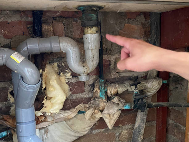 Best Carpet water damage restoration  in West Odessa, TX