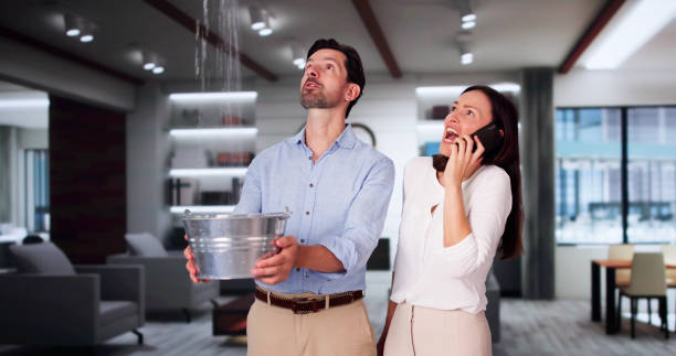 Best Water damage restoration cost  in West Odessa, TX